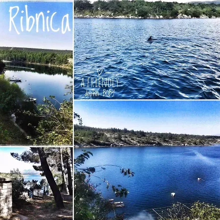Ribnica *